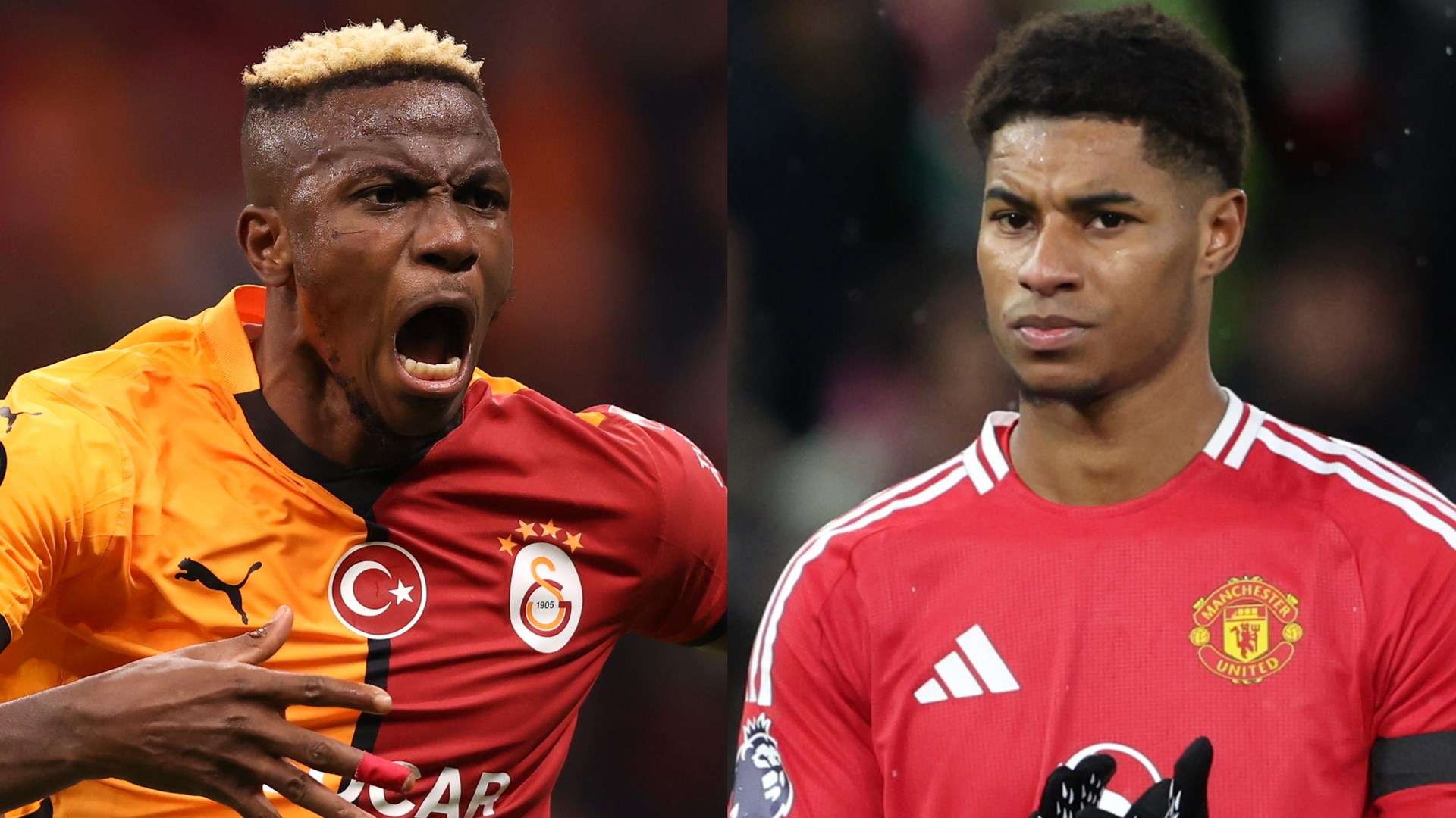 更多的资源 更多的资源