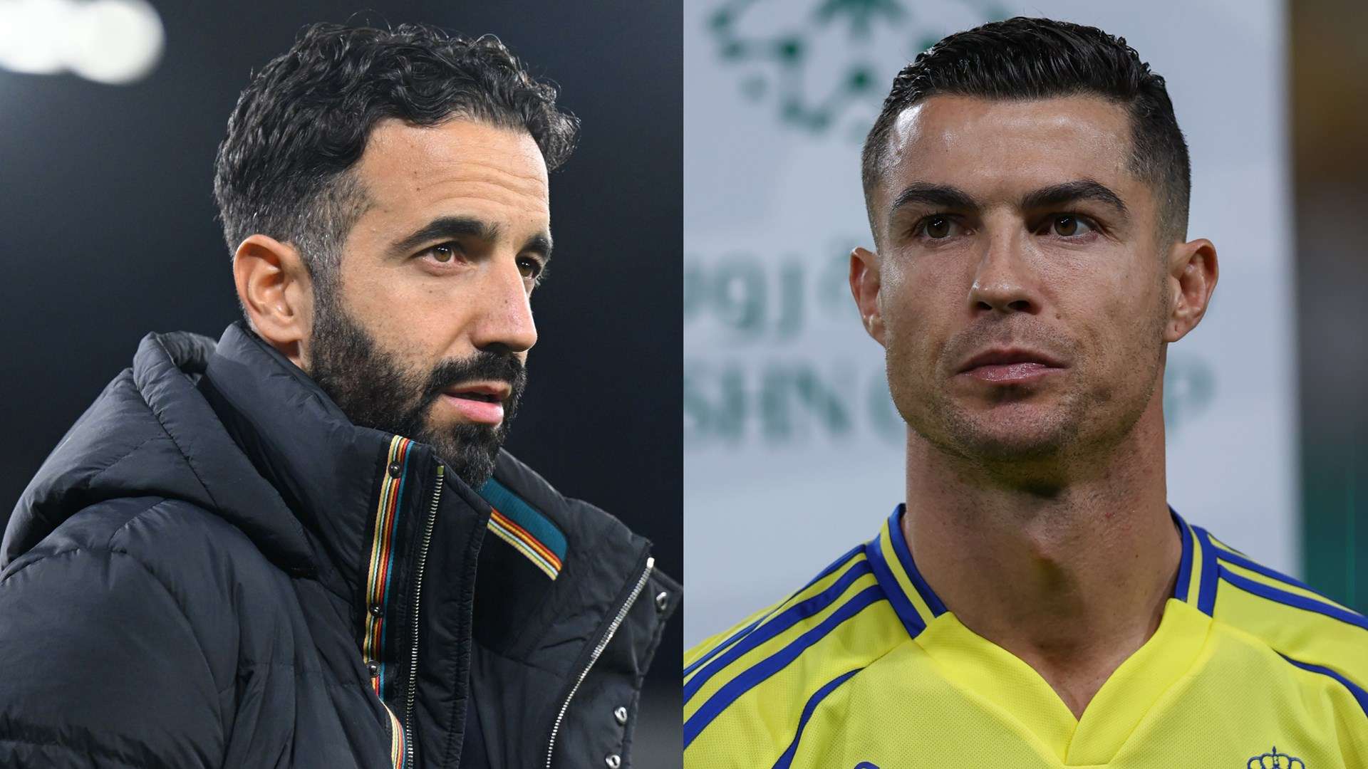 力和明星球 力和明星球