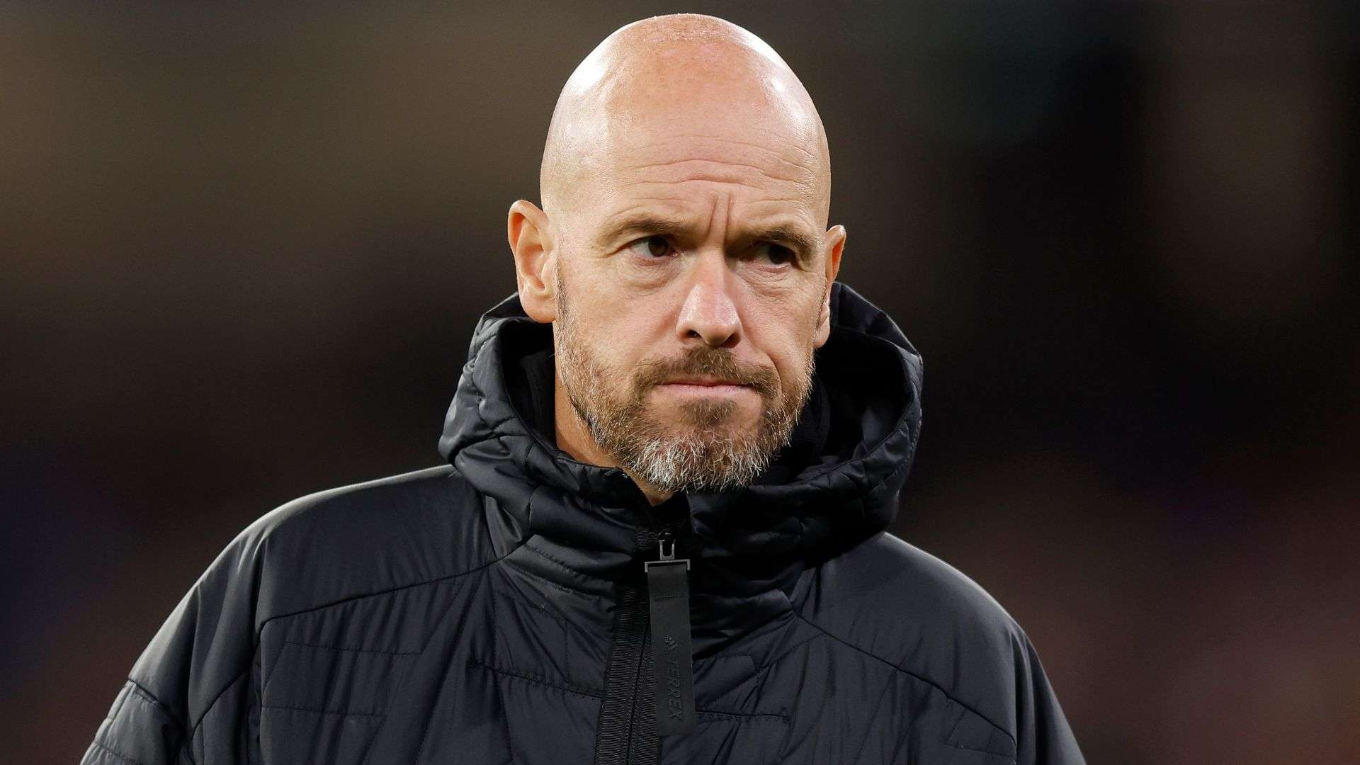 如果能够延 如果能够延